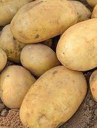Ziemniaki żółte 1kg