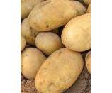 Ekologiczne ziemniaki żółte 1kg