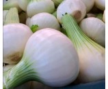 Ekologiczna cebula 1kg