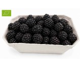 Ekologiczna jeżyna 0,5 kg