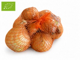 Ekologiczna cebula 1kg