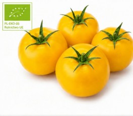 Ekologiczny pomidor 1kg ŻÓŁTY