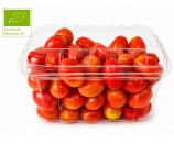 Ekologiczny pomidor 0,5kg KOKTAJLOWY