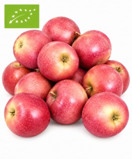 Jabłko ekologiczne 1 kg