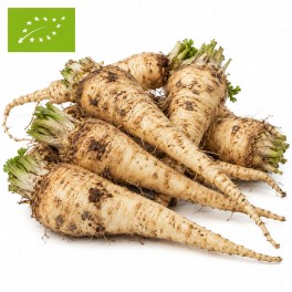 Ekologiczna pietruszka 1kg